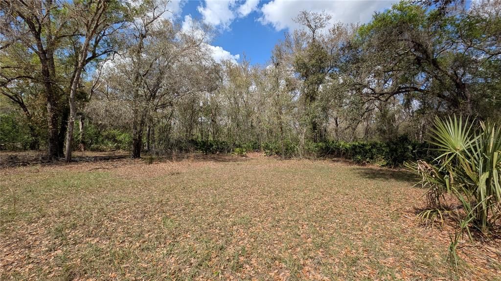 待售: $2,694,500 (317.09 acres)