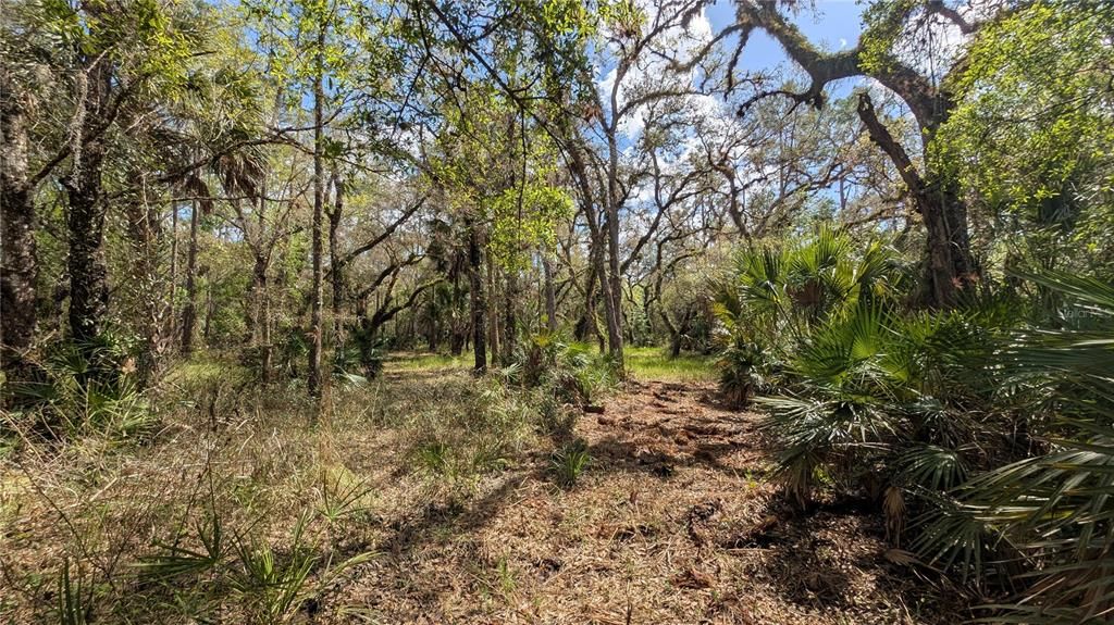 待售: $2,694,500 (317.09 acres)