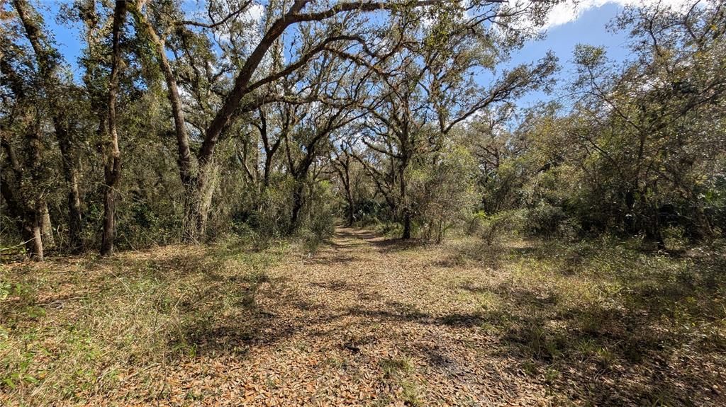 待售: $2,694,500 (317.09 acres)