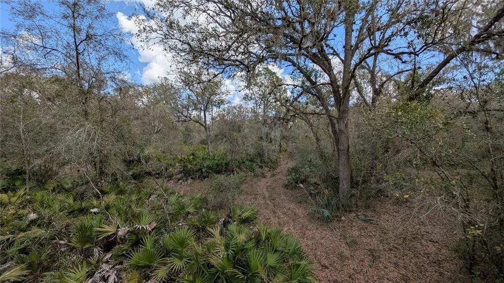 待售: $2,694,500 (317.09 acres)