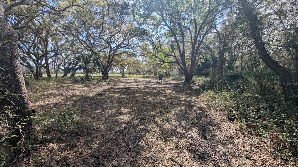 待售: $2,694,500 (317.09 acres)
