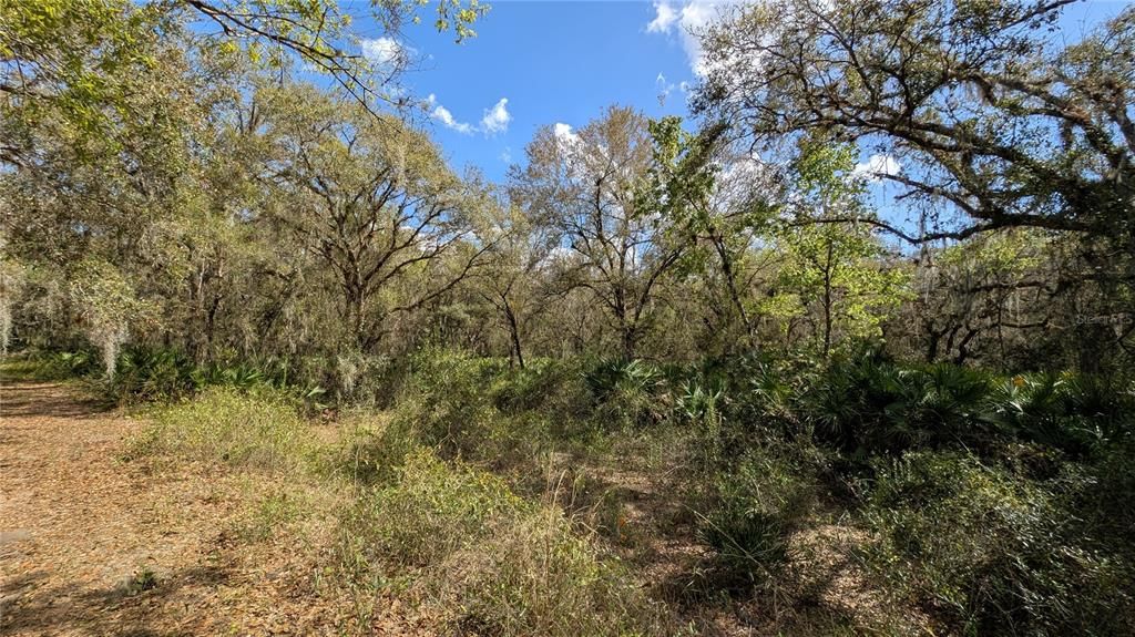 待售: $2,694,500 (317.09 acres)