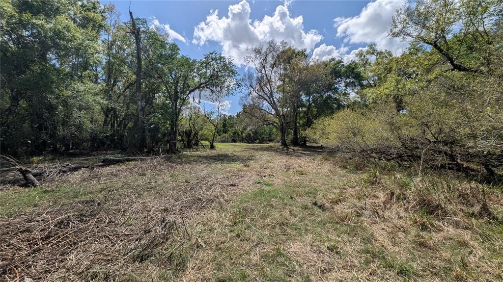 待售: $2,694,500 (317.09 acres)