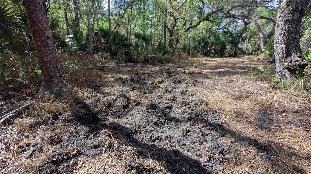 待售: $2,694,500 (317.09 acres)