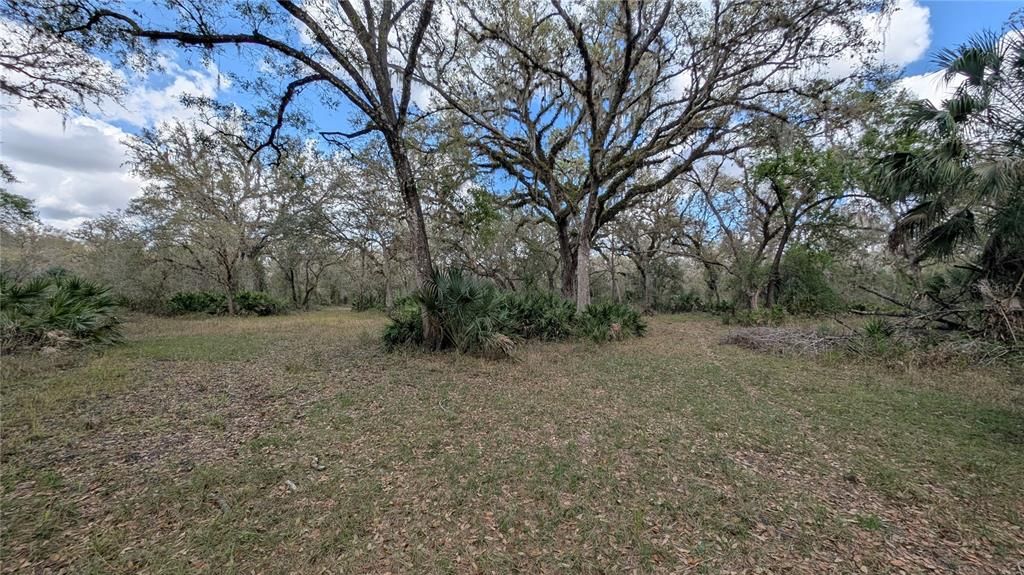 待售: $2,694,500 (317.09 acres)