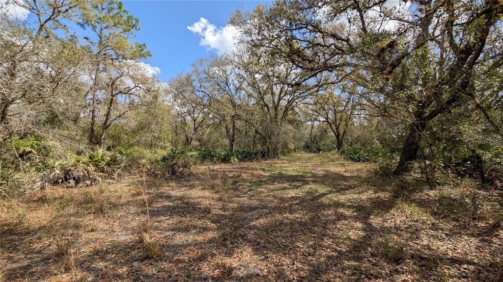 待售: $2,694,500 (317.09 acres)