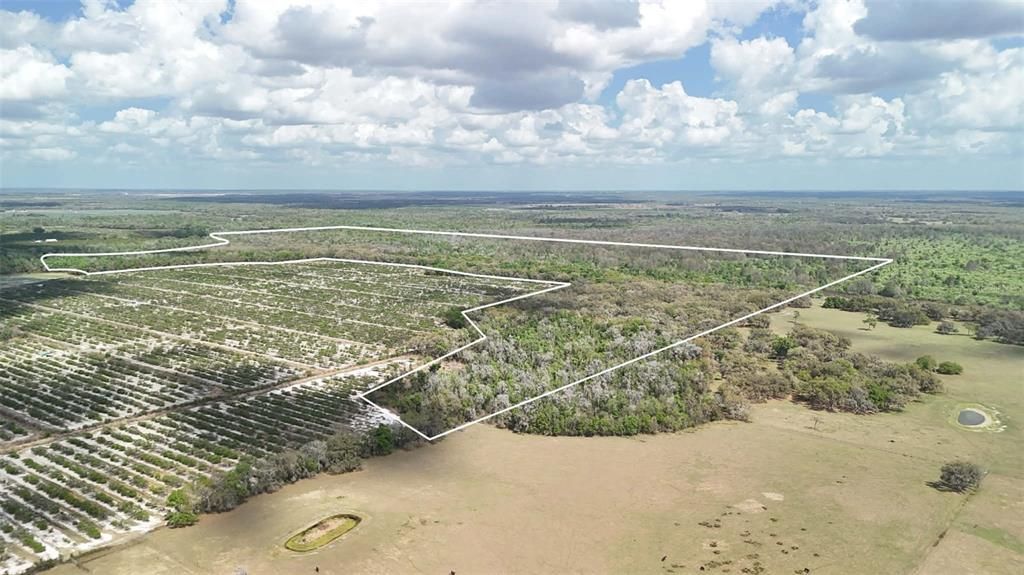 待售: $2,694,500 (317.09 acres)