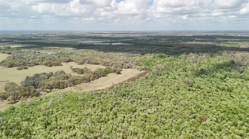 待售: $2,694,500 (317.09 acres)
