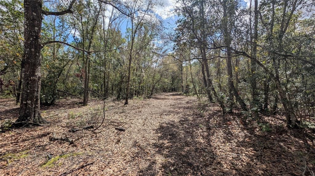 待售: $2,694,500 (317.09 acres)