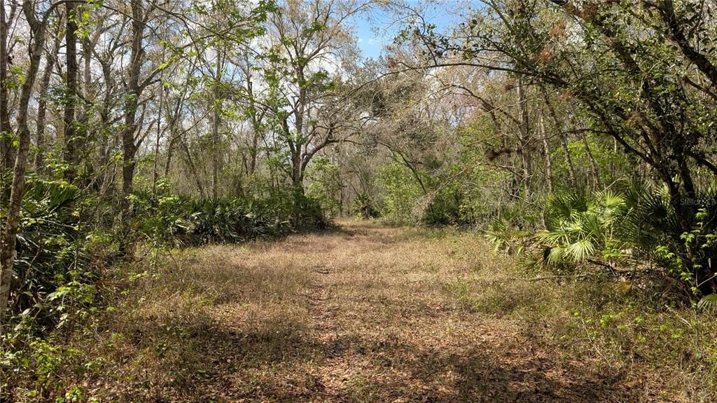待售: $2,694,500 (317.09 acres)