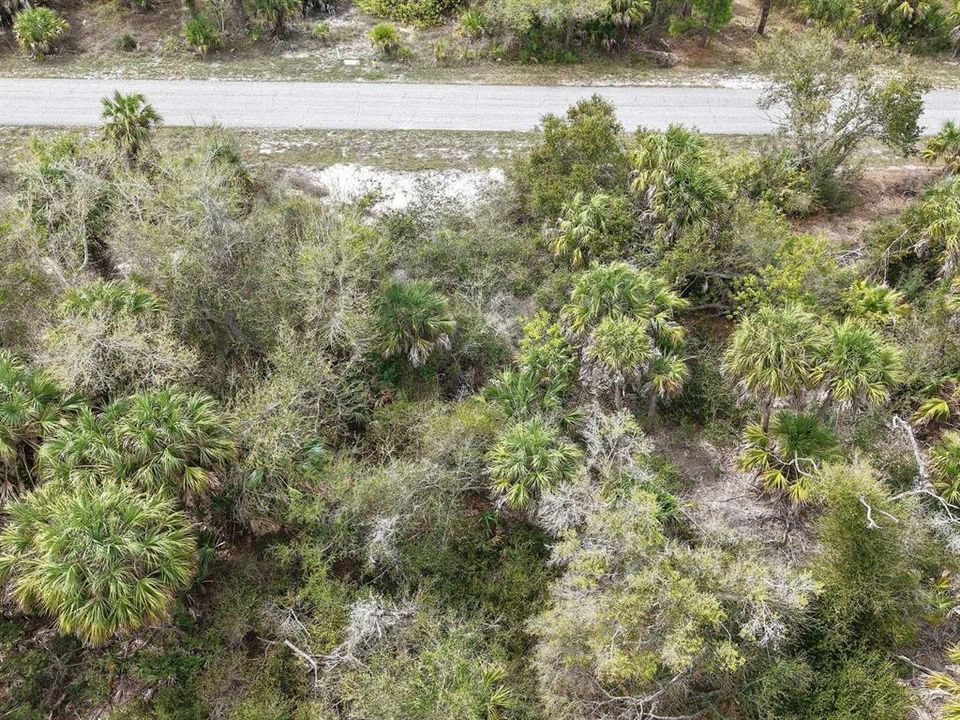 待售: $19,999 (0.23 acres)