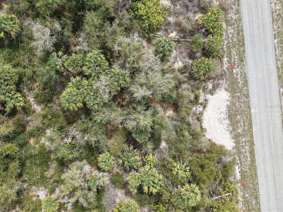 待售: $19,999 (0.23 acres)
