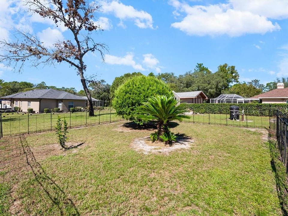 For Sale: $445,000 (3 beds, 2 baths, 2446 Square Feet)