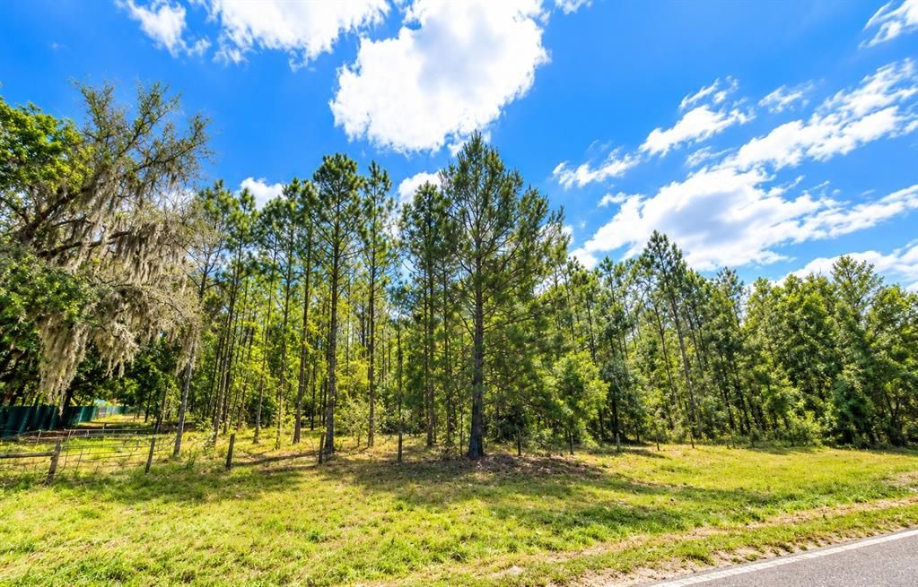 待售: $55,000 (1.00 acres)