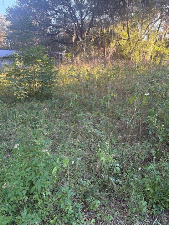 待售: $20,000 (0.18 acres)