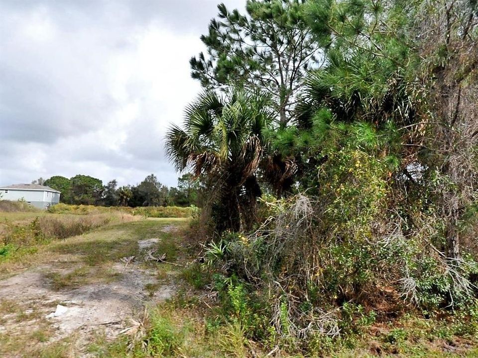 На продажу: $14,999 (0.23 acres)