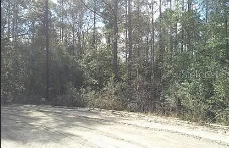 На продажу: $13,900 (0.30 acres)