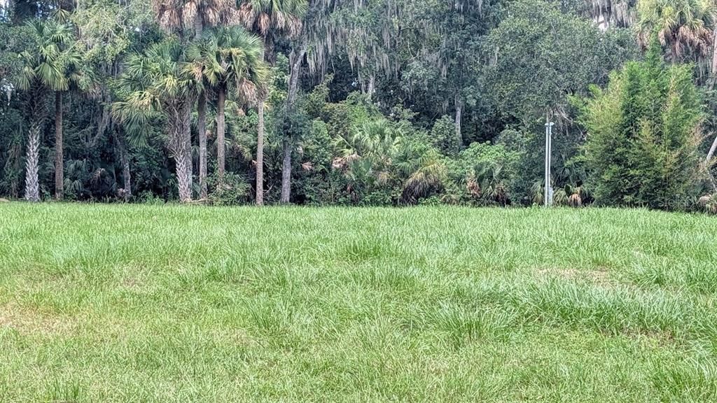 For Sale: $177,000 (1.40 acres)