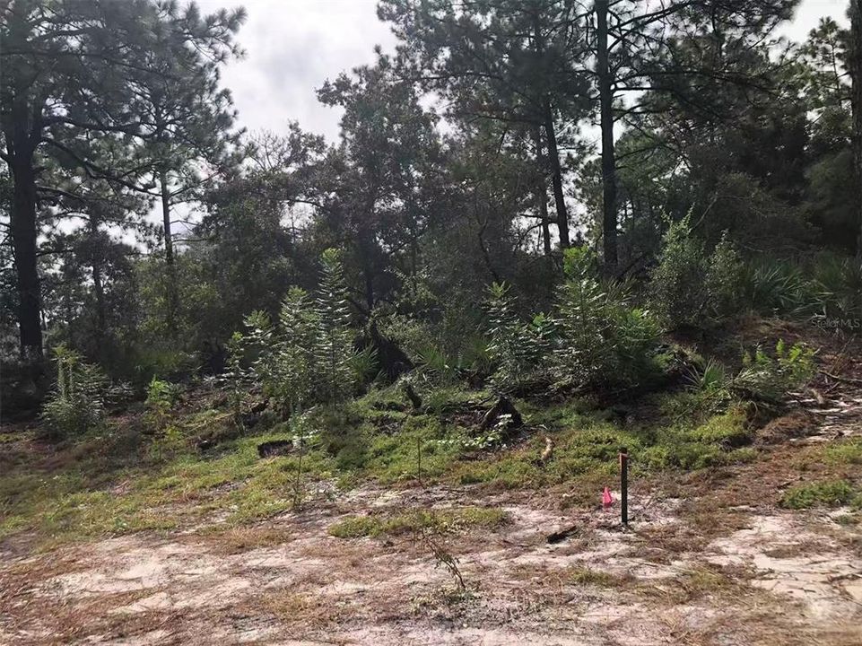 На продажу: $23,999 (0.11 acres)