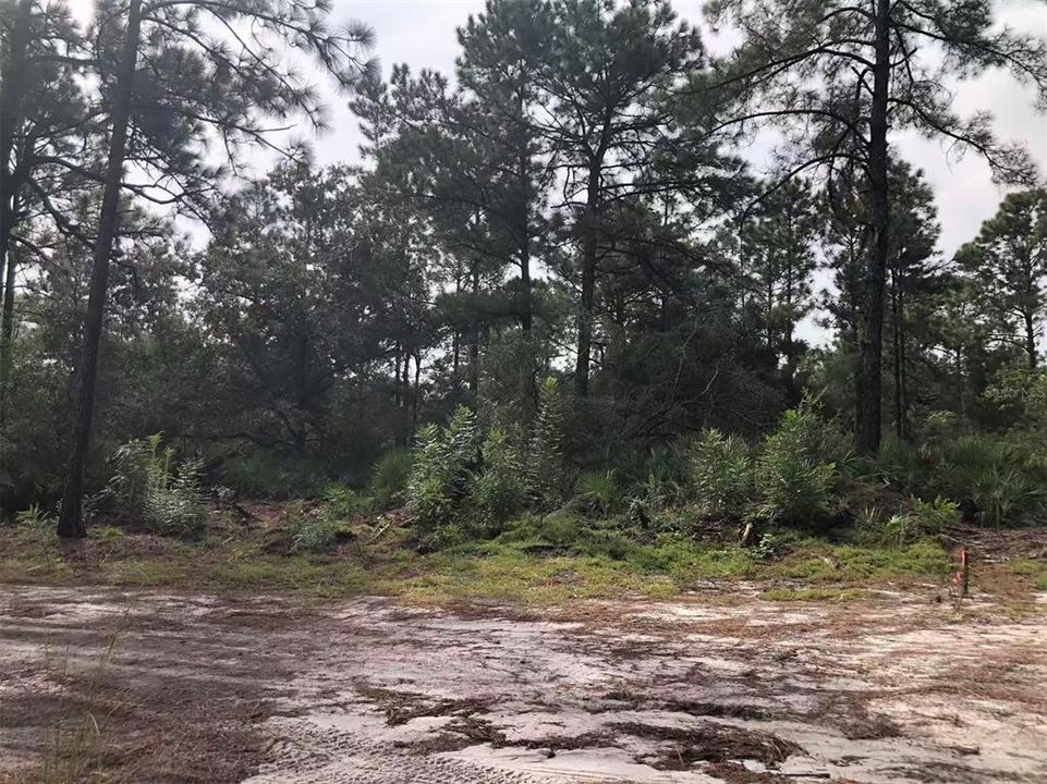На продажу: $23,999 (0.11 acres)