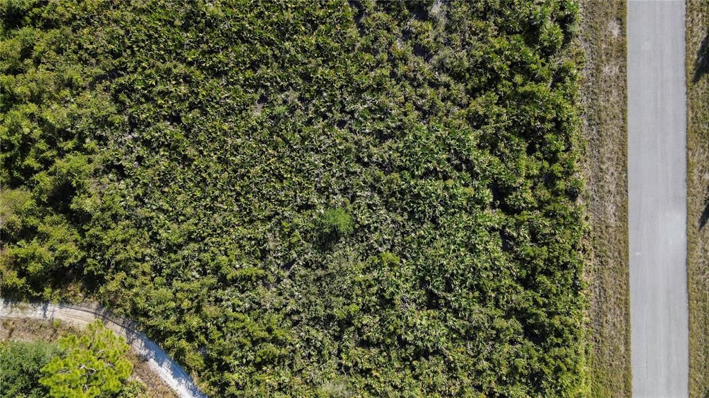 На продажу: $14,000 (0.23 acres)