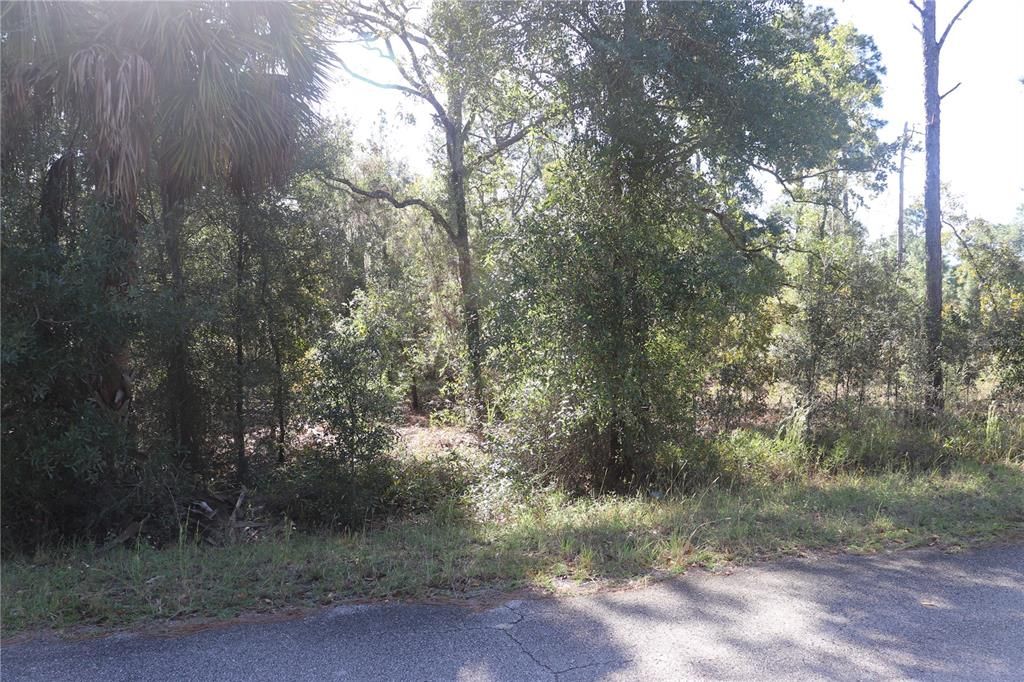 En Venta: $36,000 (1.00 acres)