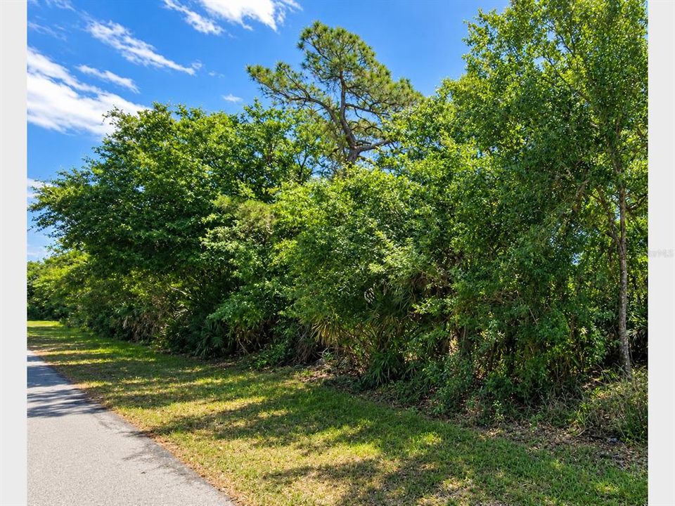 На продажу: $25,900 (0.23 acres)
