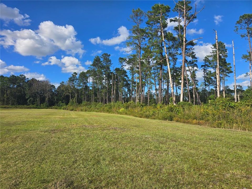 На продажу: $185,000 (2.76 acres)
