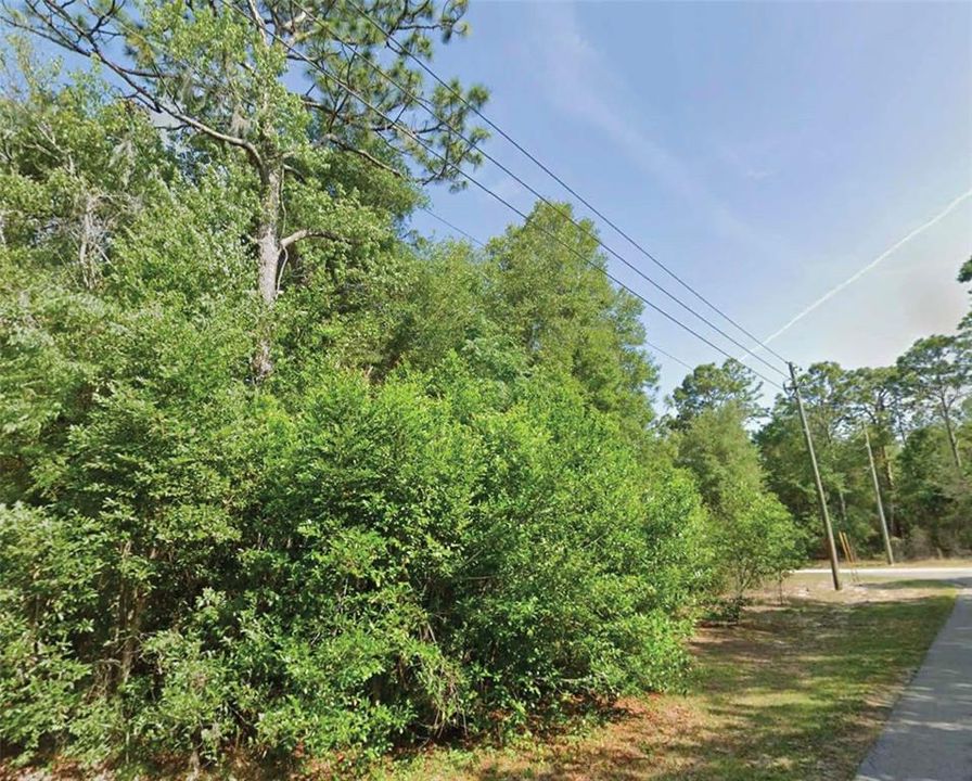 待售: $29,000 (0.36 acres)