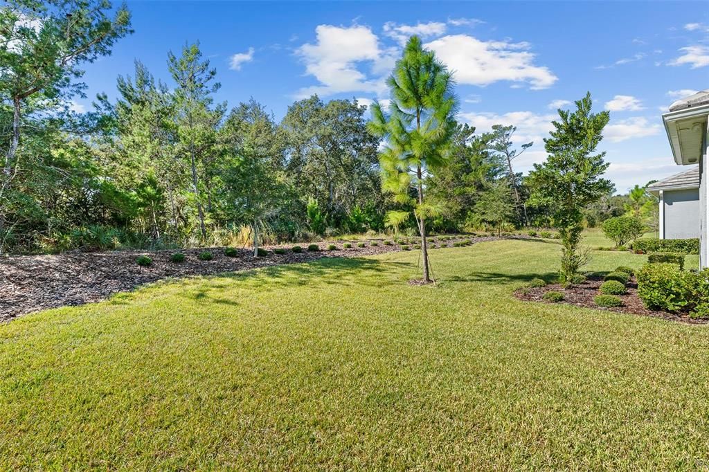 For Sale: $765,000 (4 beds, 3 baths, 3241 Square Feet)