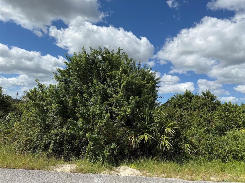 待售: $39,900 (0.50 acres)