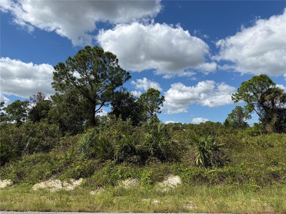 待售: $39,900 (0.50 acres)