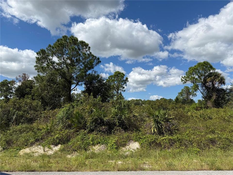 待售: $39,900 (0.50 acres)