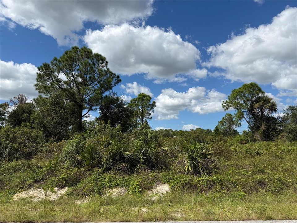 待售: $39,900 (0.50 acres)