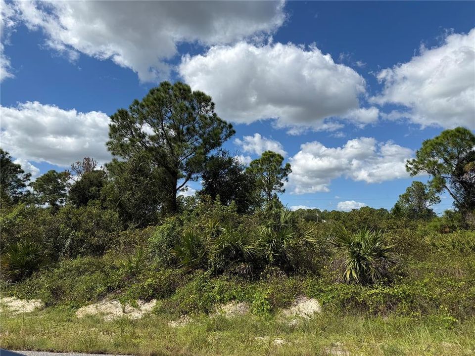 待售: $39,900 (0.50 acres)