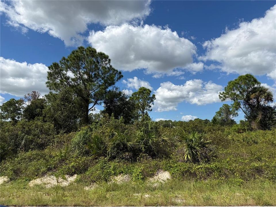 待售: $39,900 (0.50 acres)