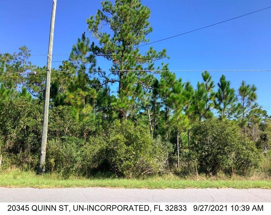 For Sale: $99,900 (0.29 acres)
