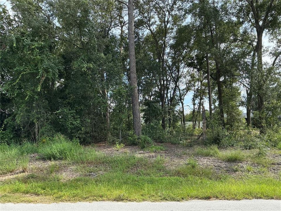 For Sale: $49,000 (0.29 acres)