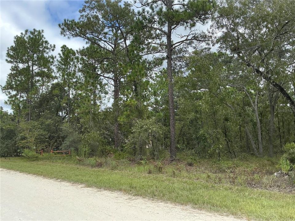 На продажу: $55,000 (0.97 acres)
