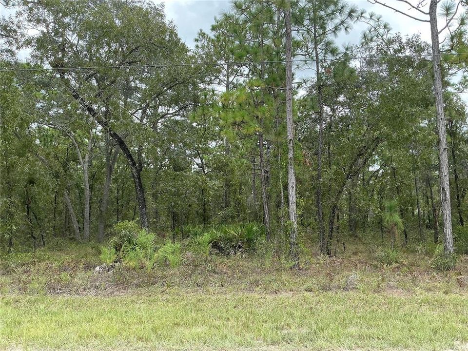 На продажу: $55,000 (0.97 acres)