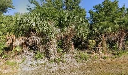 En Venta: $20,000 (0.23 acres)