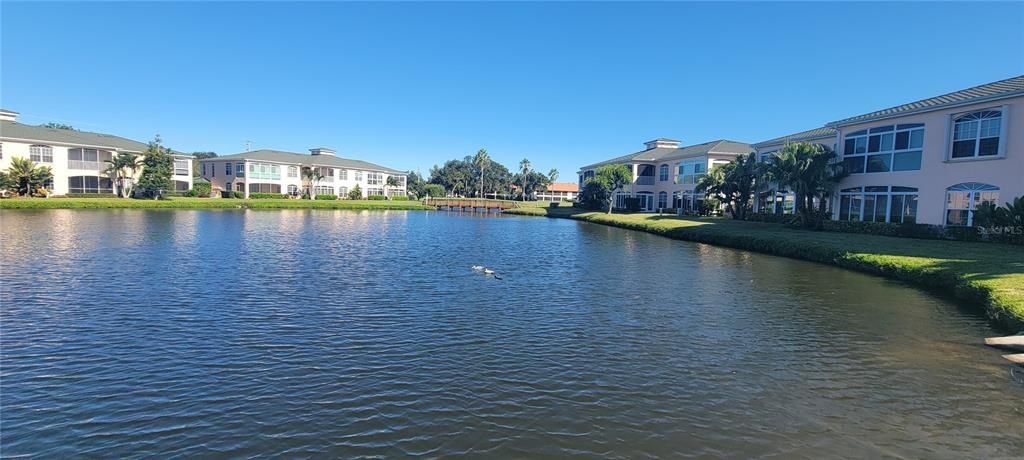 En Venta: $284,500 (2 camas, 2 baños, 1250 Pies cuadrados)