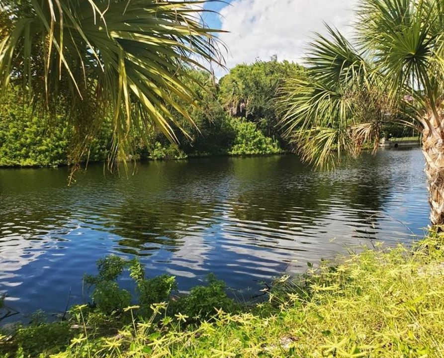 En Venta: $110,000 (0.23 acres)