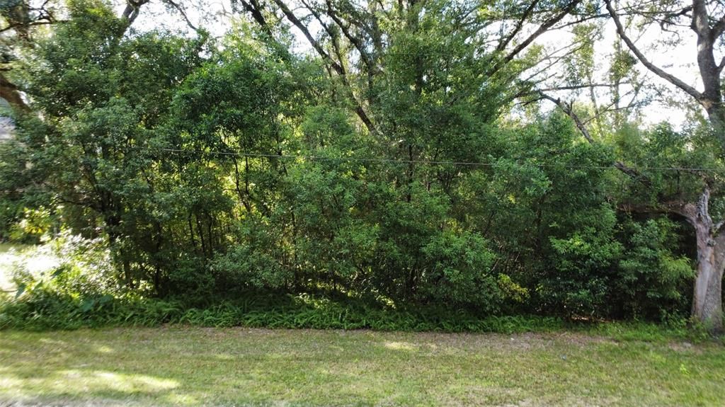 待售: $39,000 (0.30 acres)
