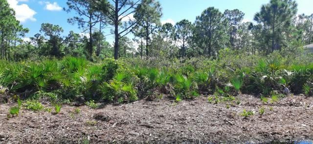 En Venta: $12,000 (0.22 acres)