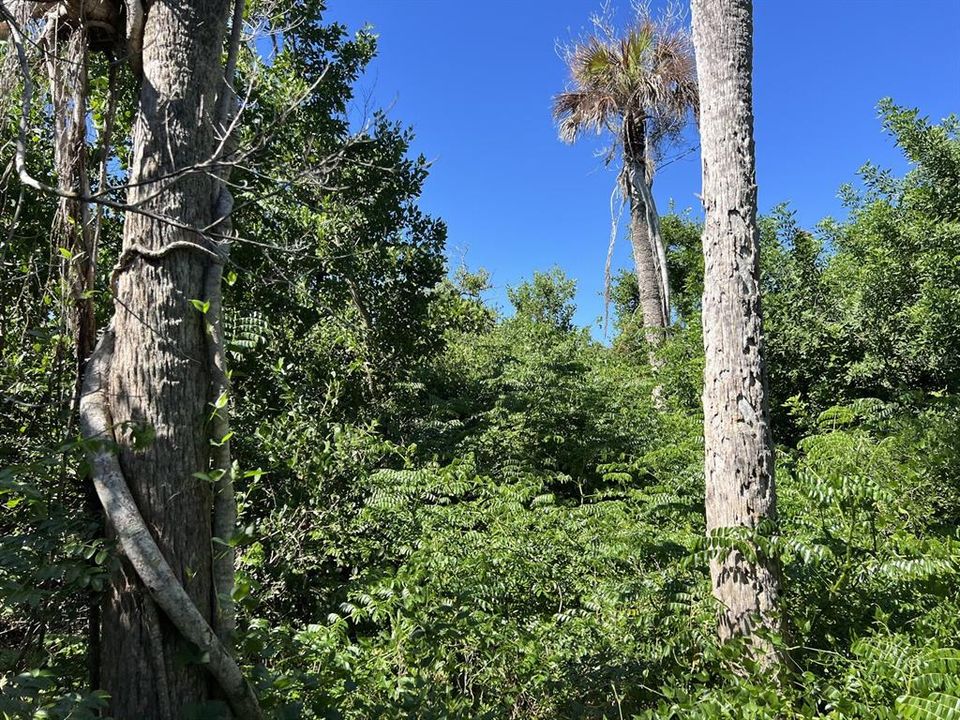 En Venta: $140,000 (0.91 acres)
