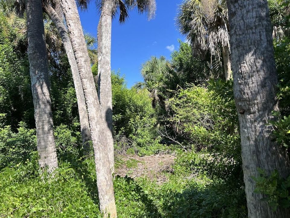 En Venta: $140,000 (0.91 acres)