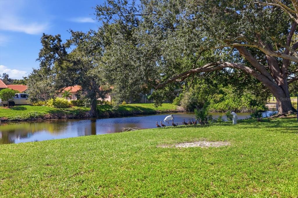 En Venta: $365,000 (2 camas, 2 baños, 1530 Pies cuadrados)