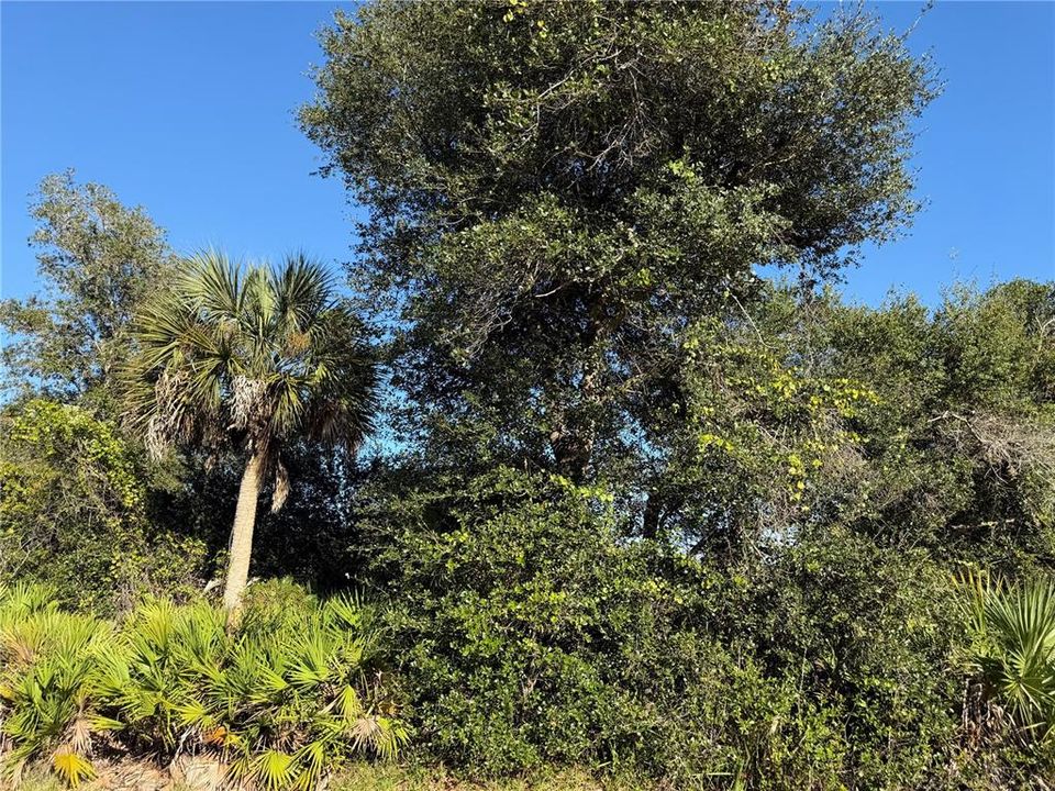 En Venta: $18,000 (0.23 acres)