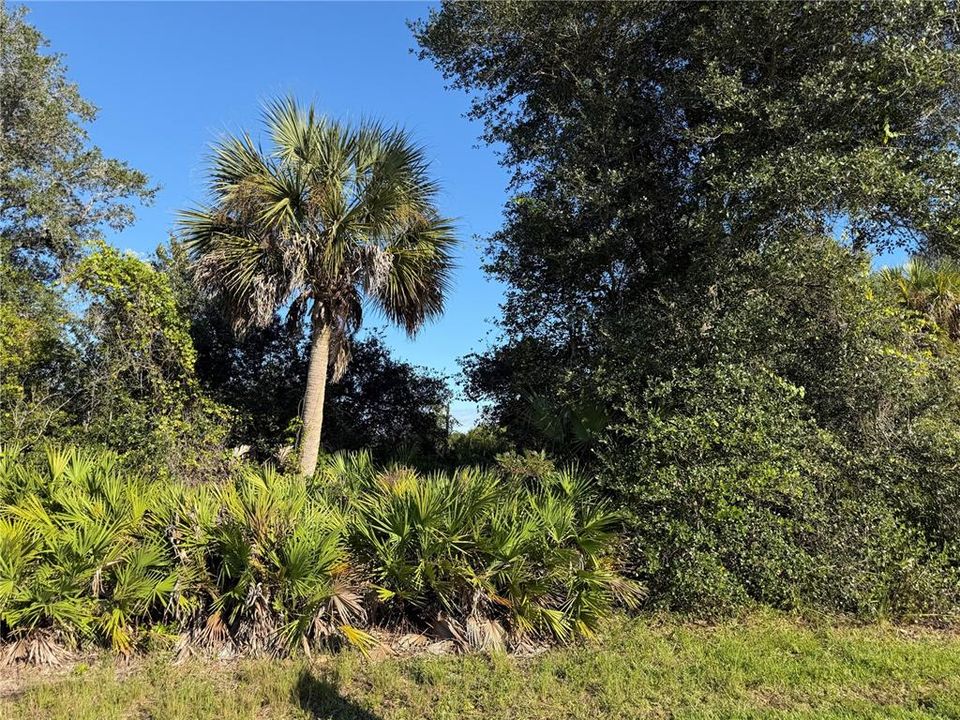 En Venta: $18,000 (0.23 acres)